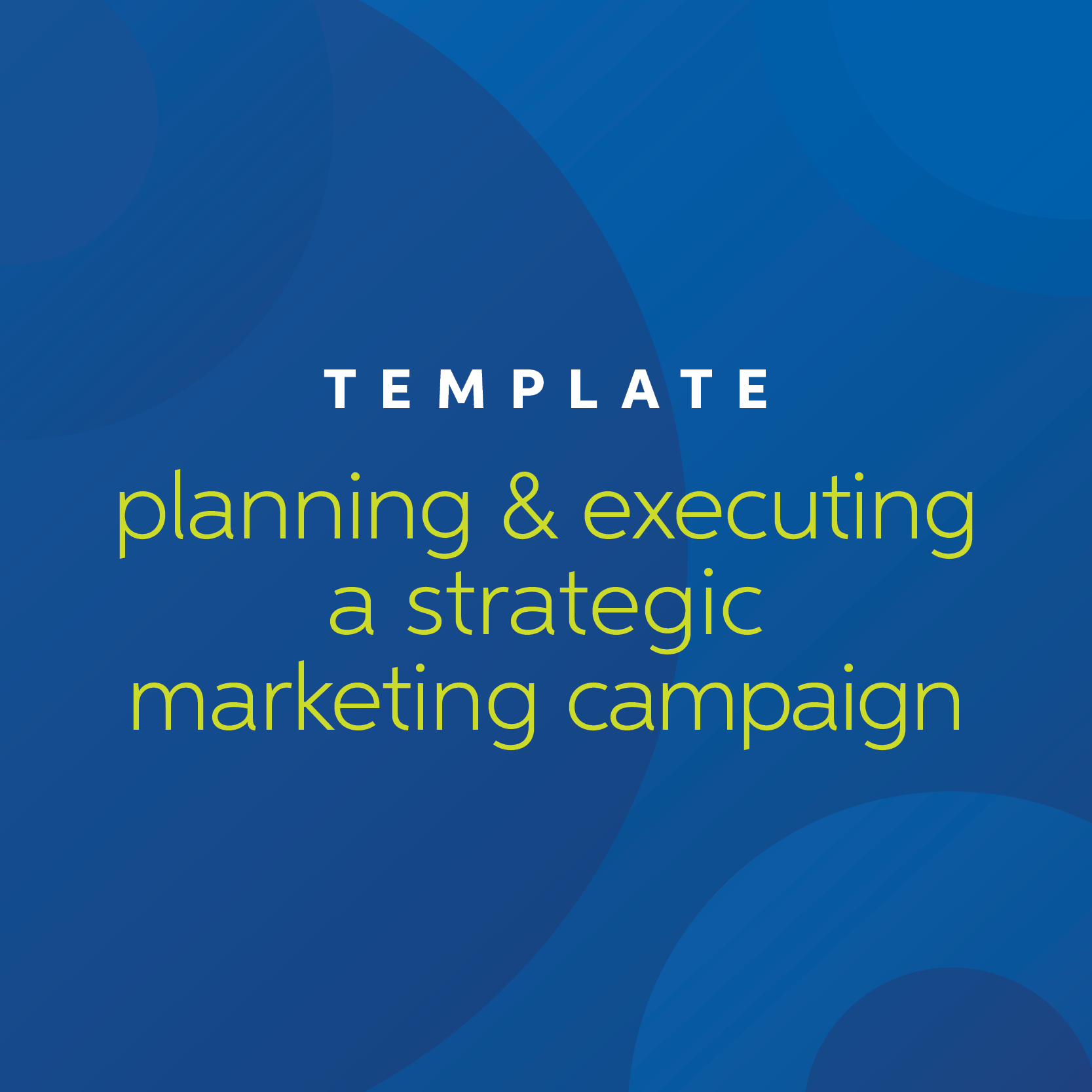 Template For Planning & Executing A Strategic Marketing Campaign ...